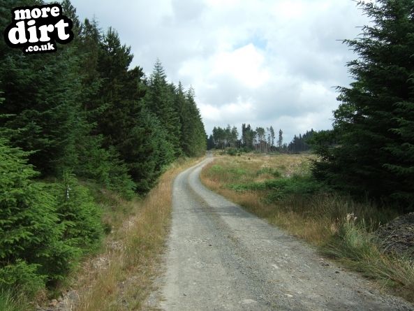 Glentrool Big Country Trail