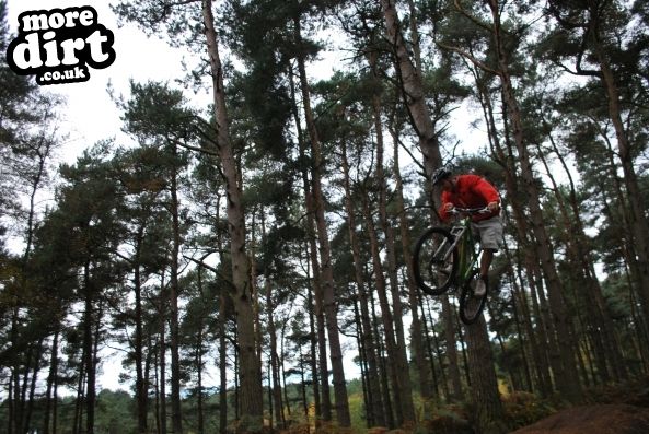 Delamere Forest Mountain Bike Trails