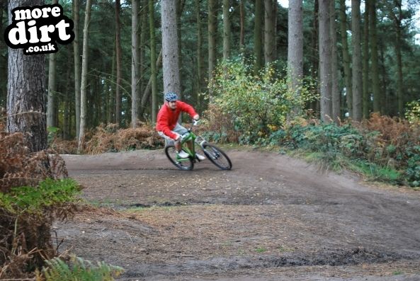Delamere Forest Mountain Bike Trails