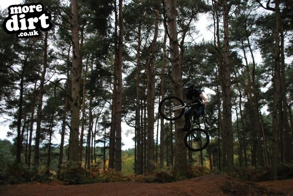 Delamere Forest Mountain Bike Trails