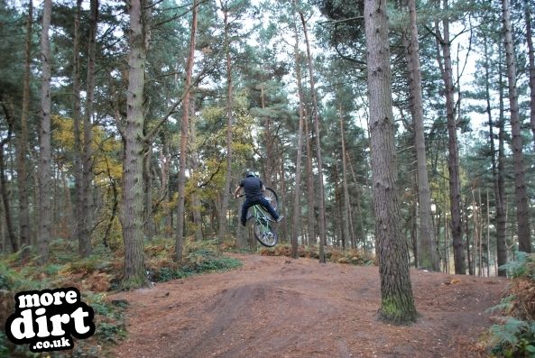 Delamere Forest Mountain Bike Trails