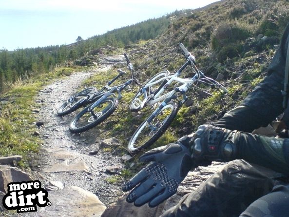 Golspie - Black Trail