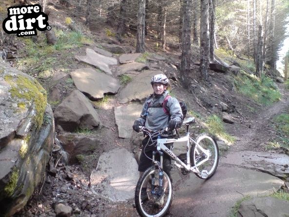 Golspie - Black Trail