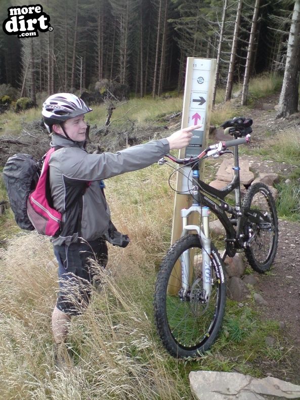 Golspie - Black Trail