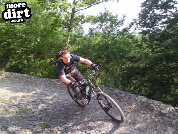 Gorlech Trail - Brechfa