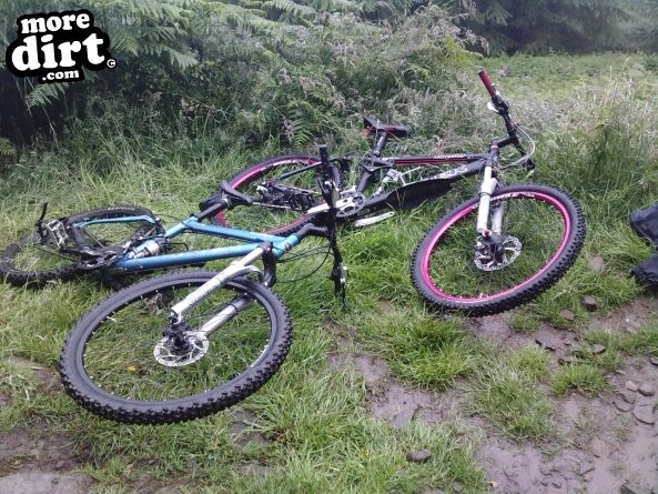 Whites Level Trail - Afan Forest