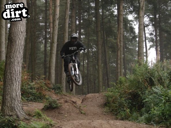 Delamere Forest Mountain Bike Trails