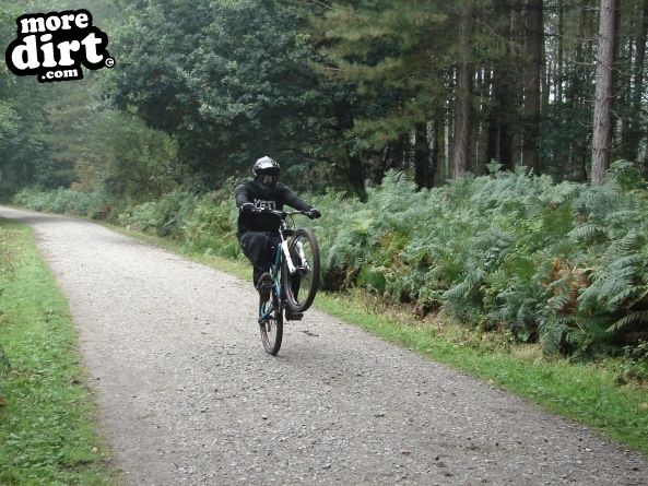 Delamere Forest Mountain Bike Trails