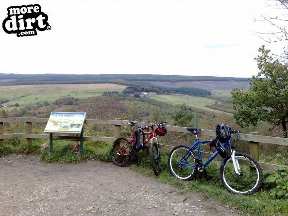 Dalby Forest Red Trail