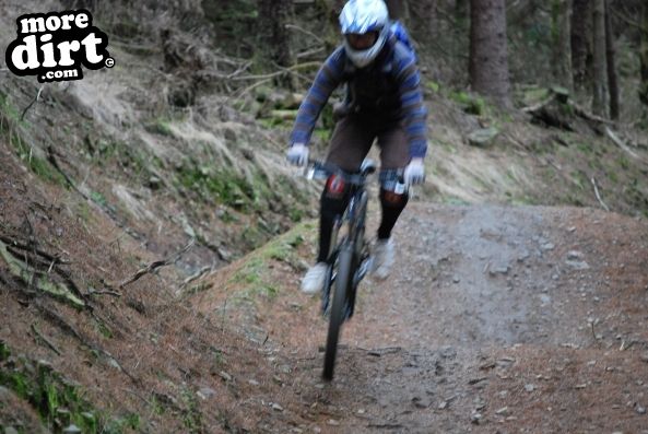 Whites Level Trail - Afan Forest