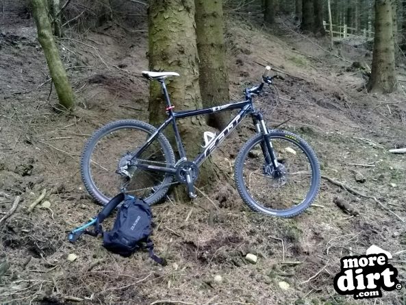 Skills Area - Coed Llandegla Forest