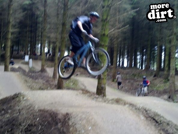 Skills Area - Coed Llandegla Forest