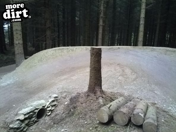 Skills Area - Coed Llandegla Forest
