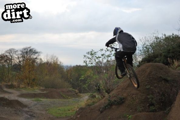 Great Ayton Trails
