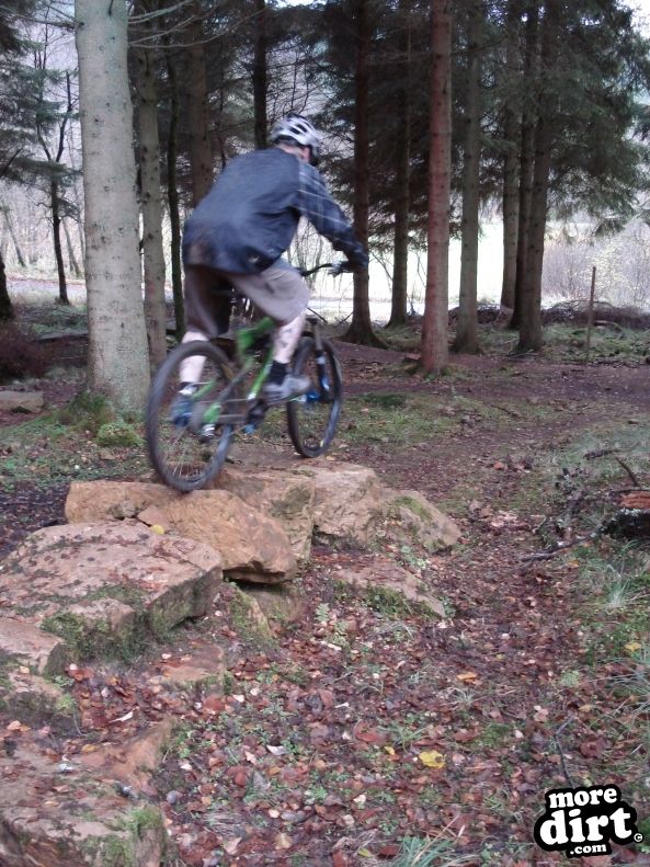 Castle Wood Skills Loop - Kielder Castle