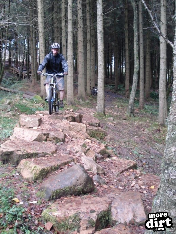 Kielder Mountain Bike Trails