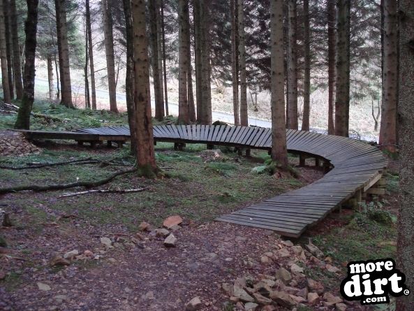 Castle Wood Skills Loop - Kielder Castle