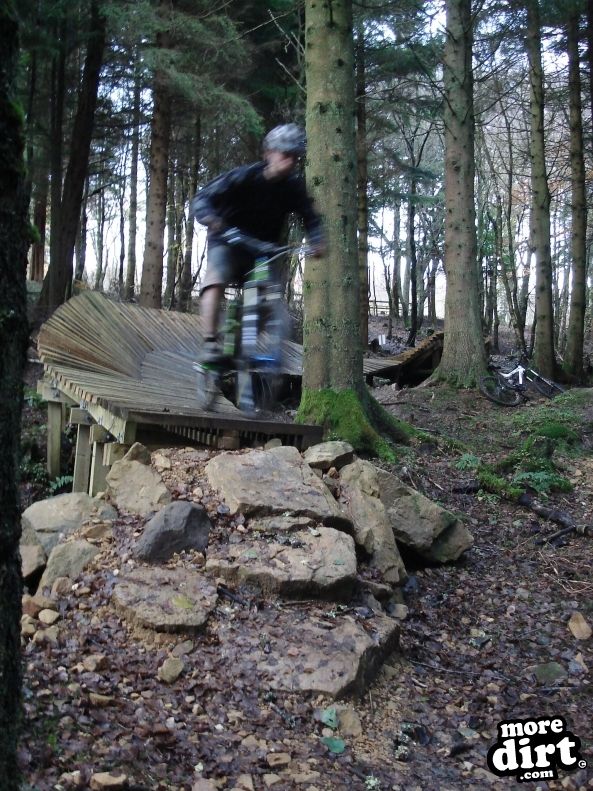 Castle Wood Skills Loop - Kielder Castle