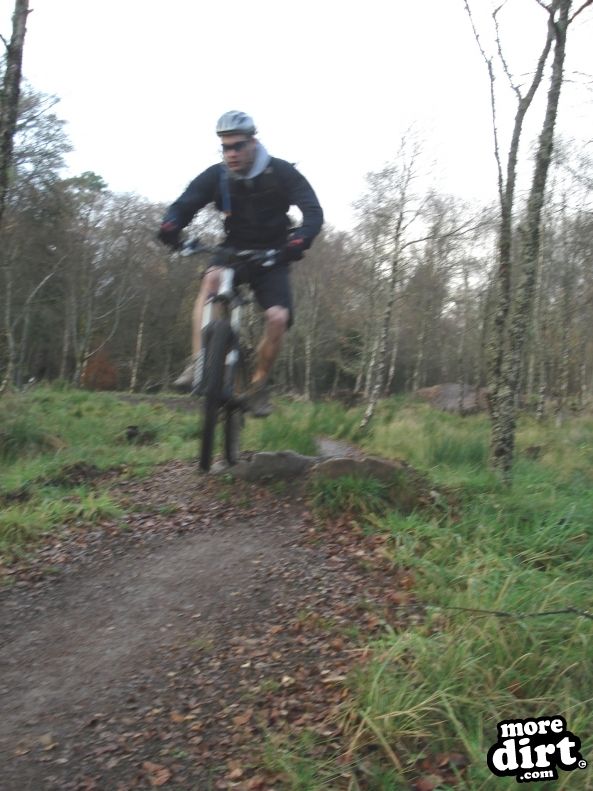 Castle Wood Skills Loop - Kielder Castle