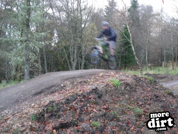 Castle Wood Skills Loop - Kielder Castle