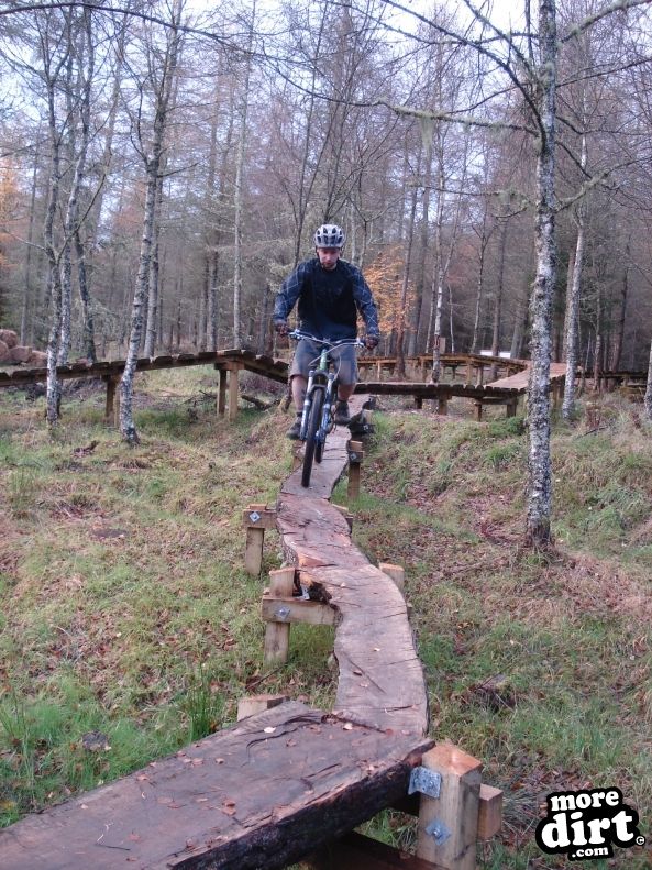 Castle Wood Skills Loop - Kielder Castle