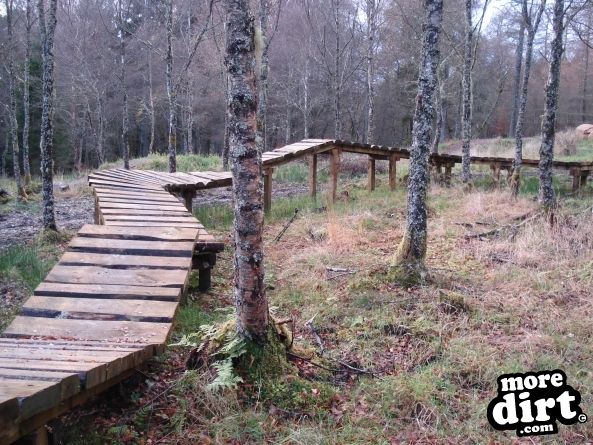 Castle Wood Skills Loop - Kielder Castle