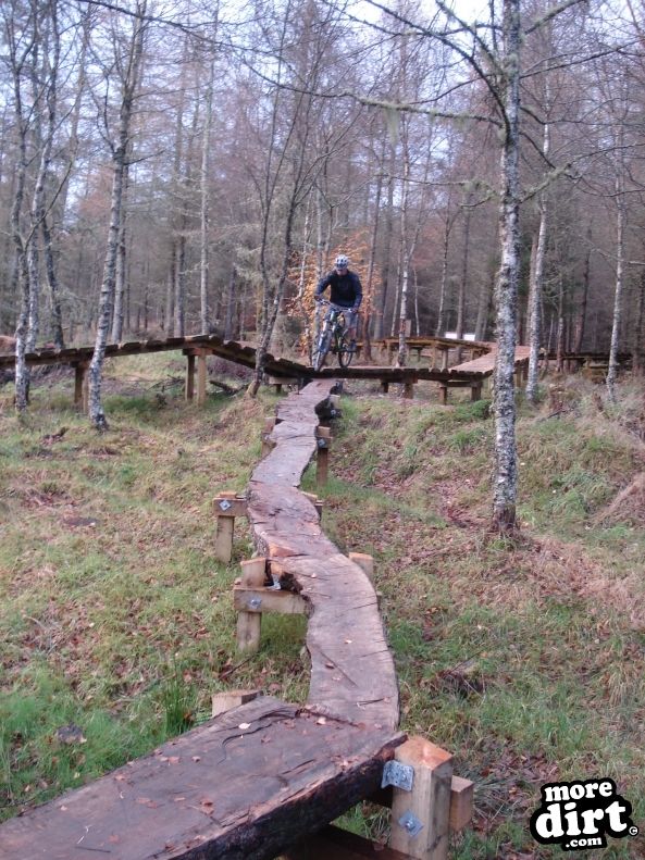 Castle Wood Skills Loop - Kielder Castle
