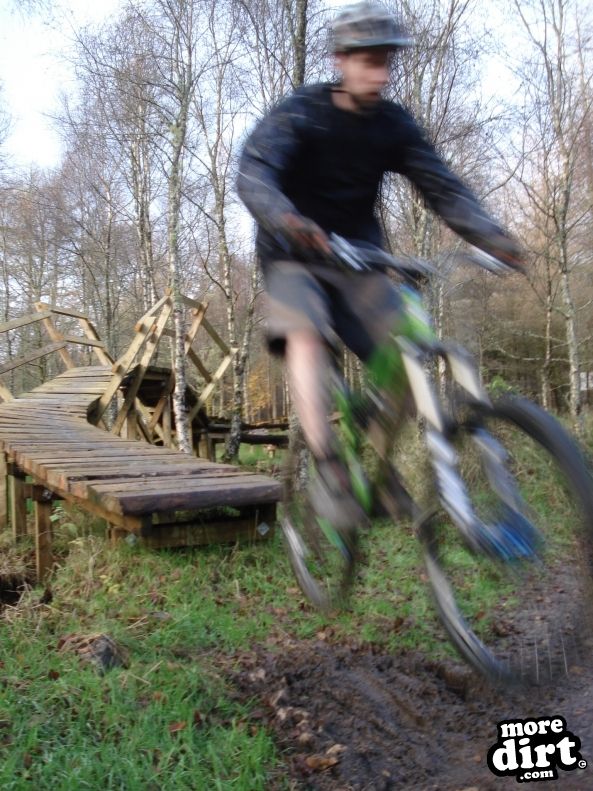 Castle Wood Skills Loop - Kielder Castle