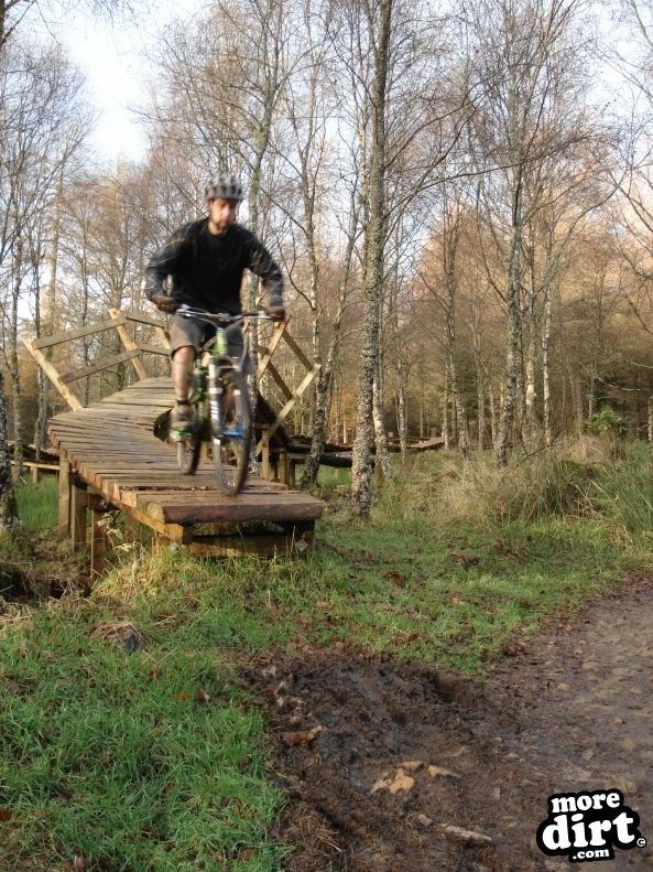 Castle Wood Skills Loop - Kielder Castle
