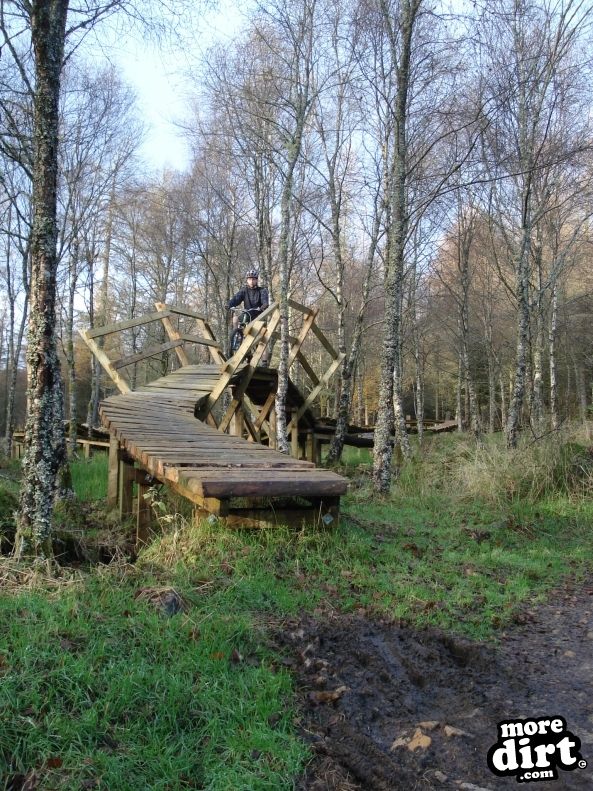 Castle Wood Skills Loop - Kielder Castle