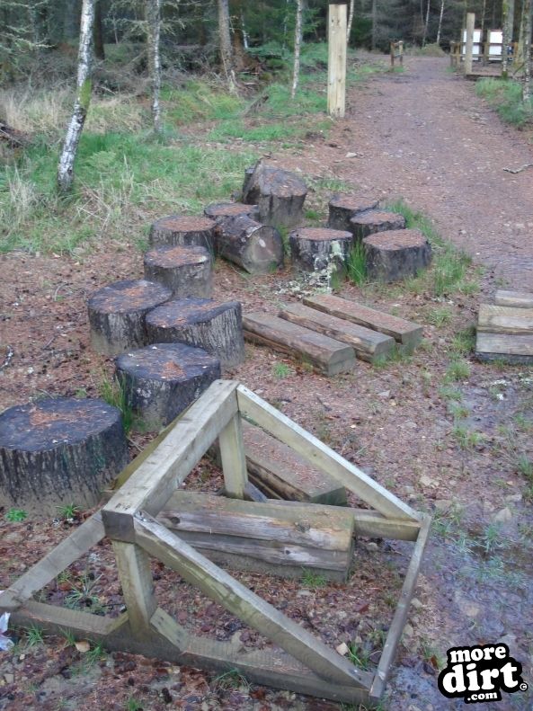 Castle Wood Skills Loop - Kielder Castle