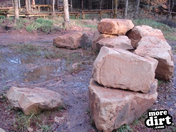 Castle Wood Skills Loop - Kielder Castle