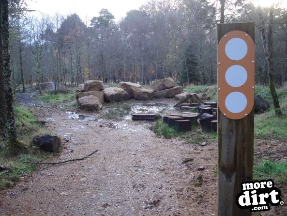 Castle Wood Skills Loop - Kielder Castle