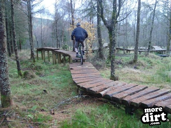 Castle Wood Skills Loop - Kielder Castle