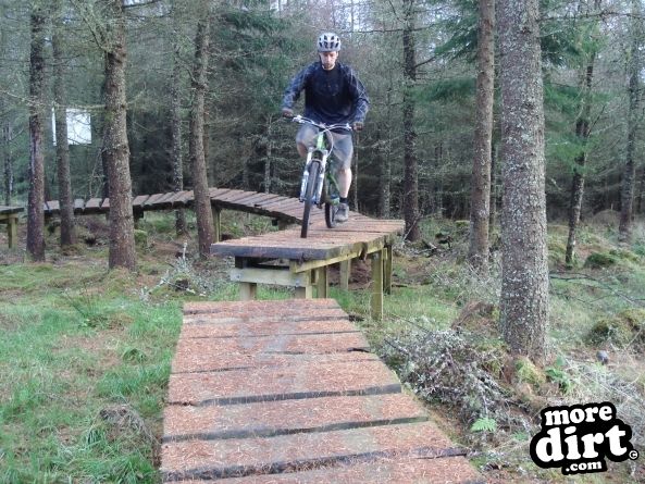 Castle Wood Skills Loop - Kielder Castle