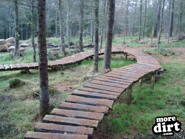 Castle Wood Skills Loop - Kielder Castle