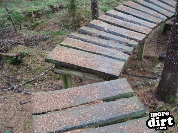 Castle Wood Skills Loop - Kielder Castle