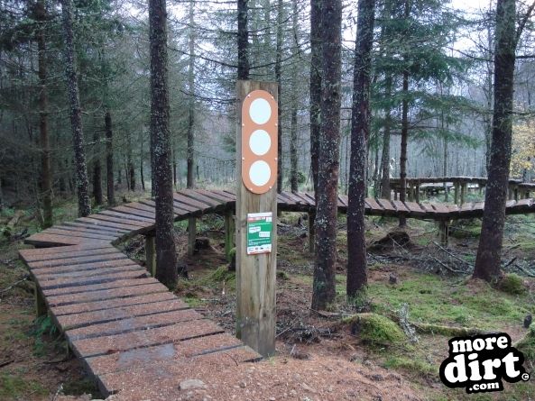 Castle Wood Skills Loop - Kielder Castle