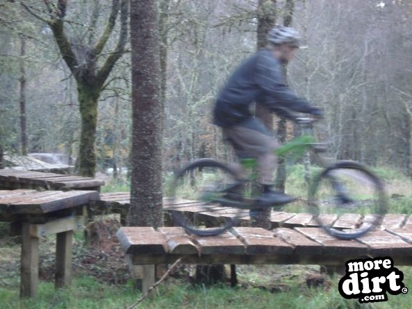 Castle Wood Skills Loop - Kielder Castle