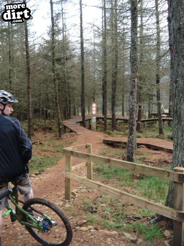 Castle Wood Skills Loop - Kielder Castle