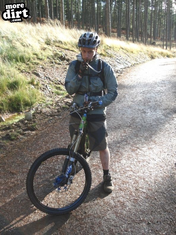 Lakeside Way, Kielder