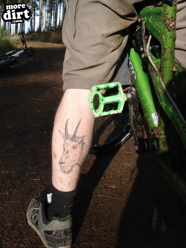 Lakeside Way, Kielder