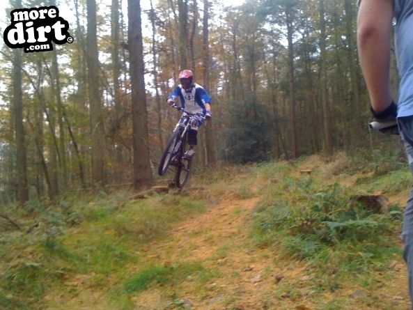 Eastridge Downhill Trails