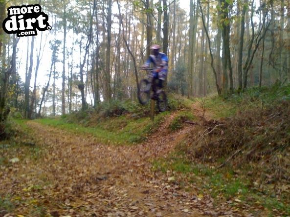 Eastridge Downhill Trails