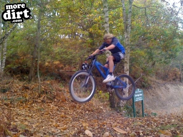 Eastridge Downhill Trails