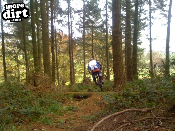 Eastridge Downhill Trails