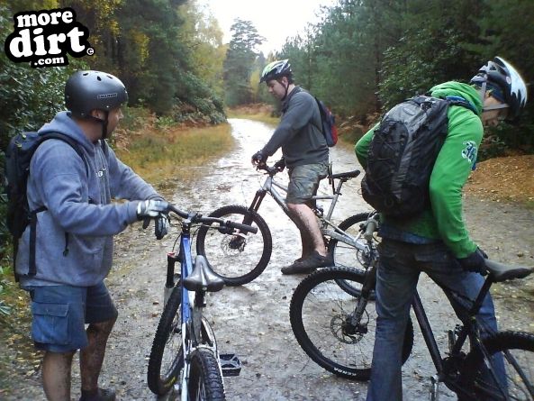 Swinley Forest Mountain Bike Centre