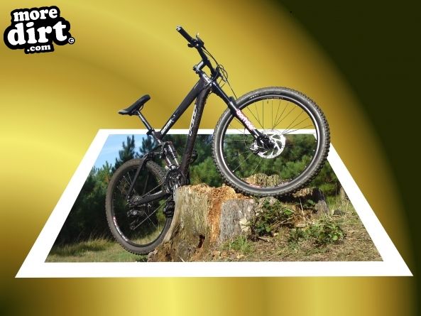 Beater Trail - Thetford Forest