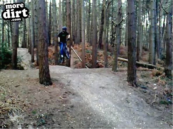 Just some t-bar on a table top (we call it big bet