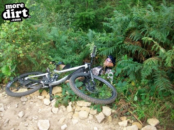 Dalby Forest Red Trail